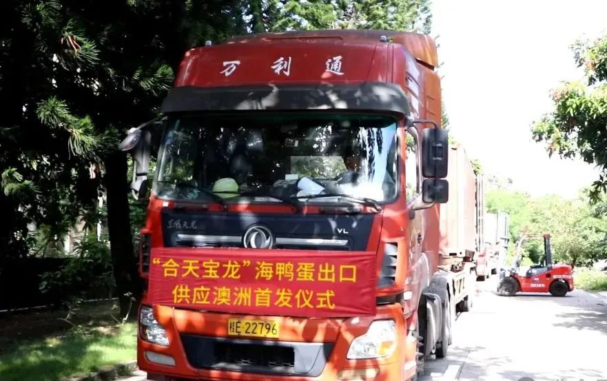 广西合天宝龙与澳洲荣成国际携手，海鸭蛋成功出口澳洲，开启国际市场新篇章！